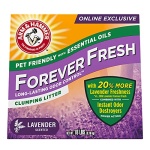 51EHu3CEshL.jpg