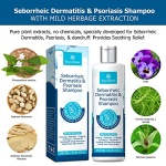 51g-ysIejvL.jpg