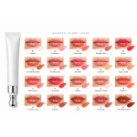 Swatches